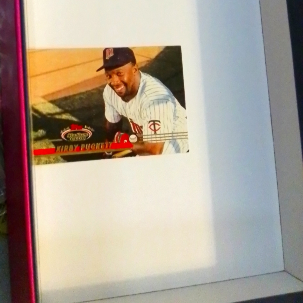 Kirby Puckett baseball card 283#